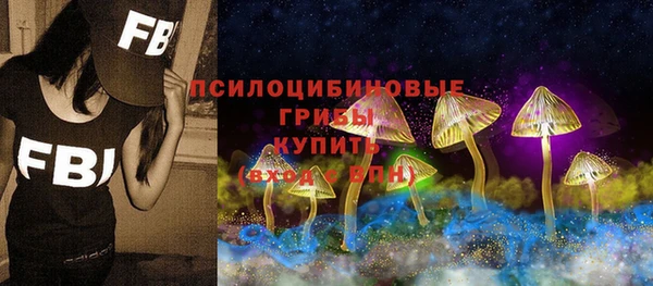 дурь Надым