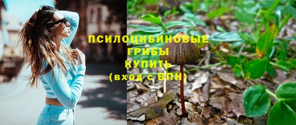 гидра Михайлов