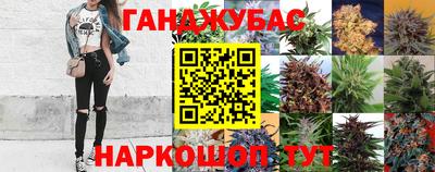 каннабис Будённовск