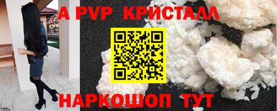 ешки Гай