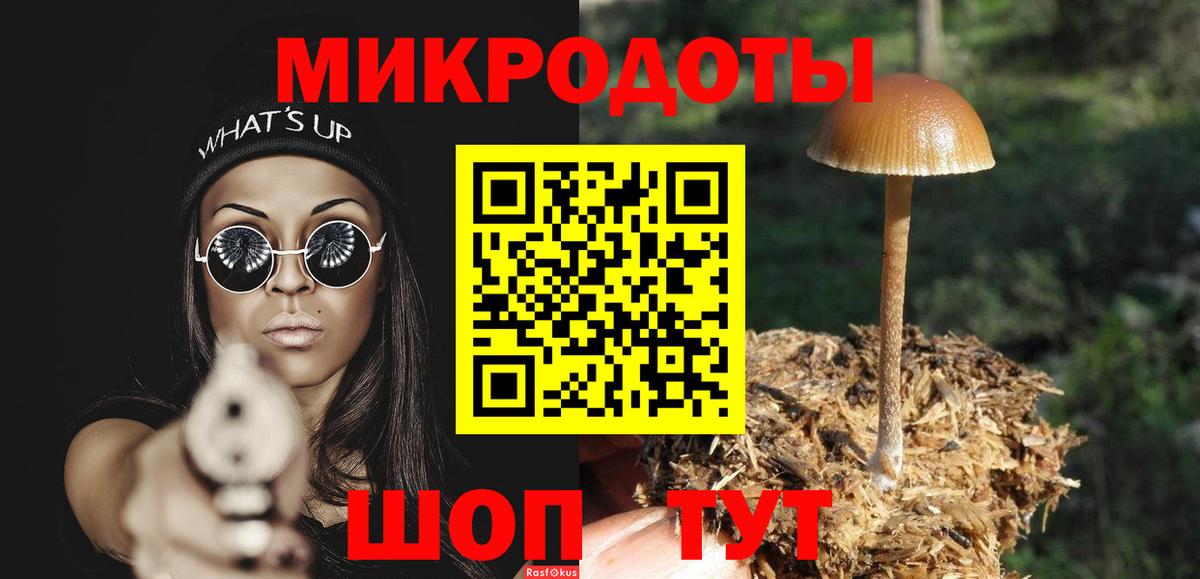 Галлюциногенные грибы GOLDEN TEACHER Челябинск